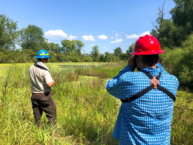 Restoration workers examine a wetland.
