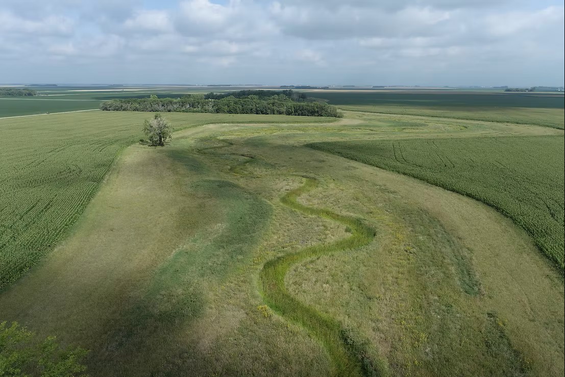 Wolverton Creek restoration with oxbows and grasslands.