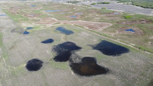 Aerial view of protected wetland site in Minnesota.