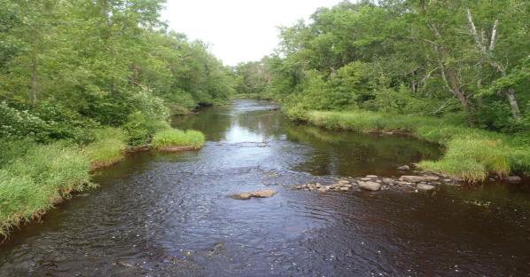 Kettle River riparian area with grasslands and trees.