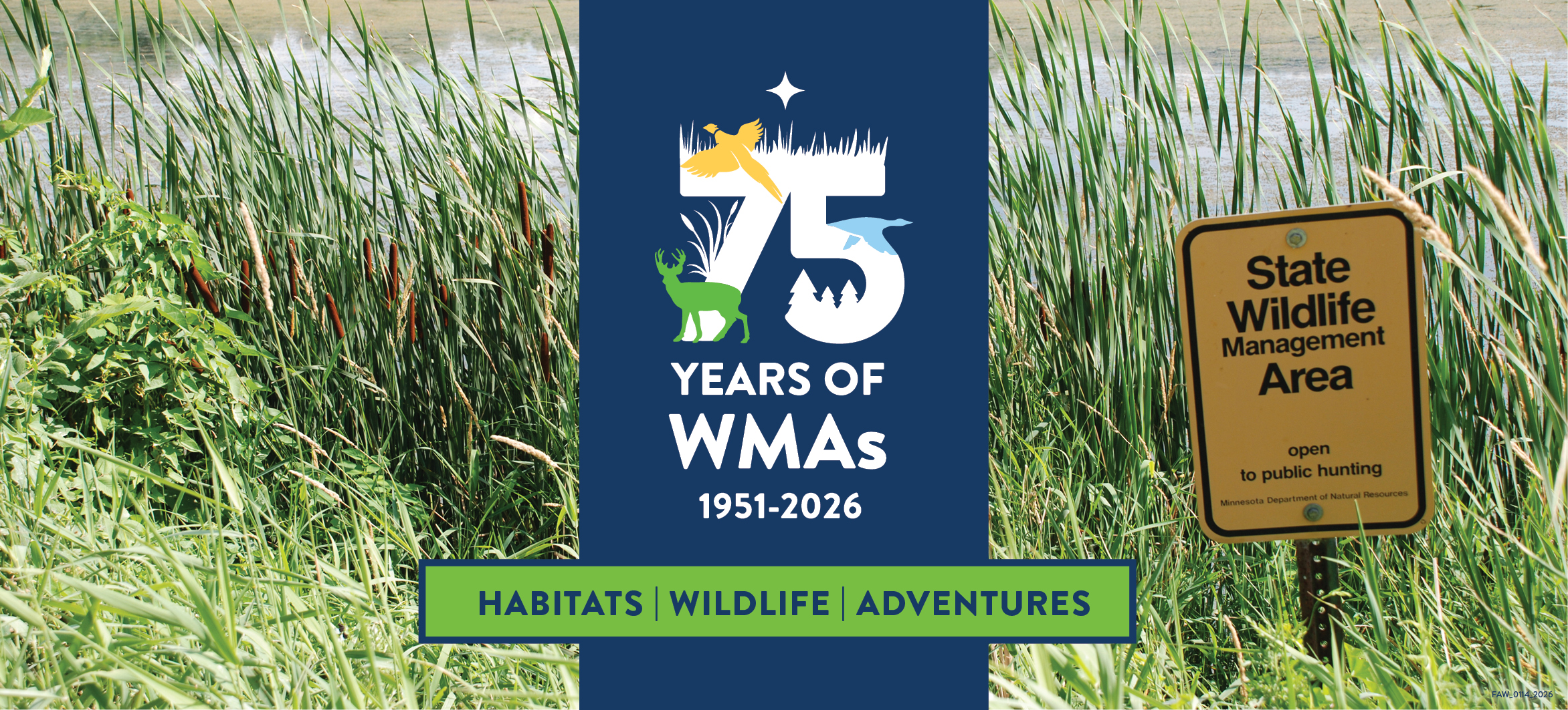 Graphic celebrates 75 years of Minnesota's WMA program.