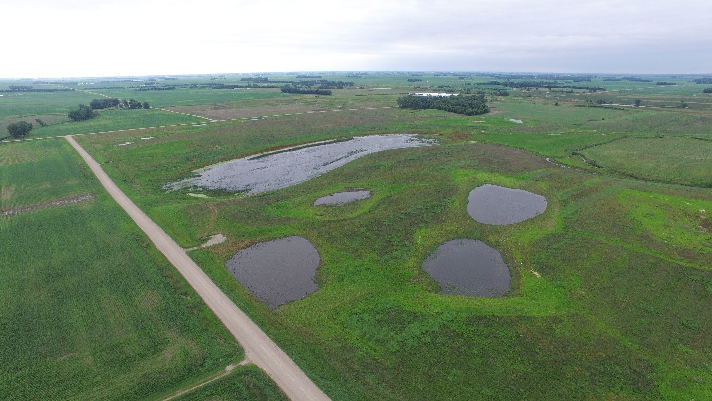 Aerial photo of restored wetland habitat at Perch Creek WMA.
