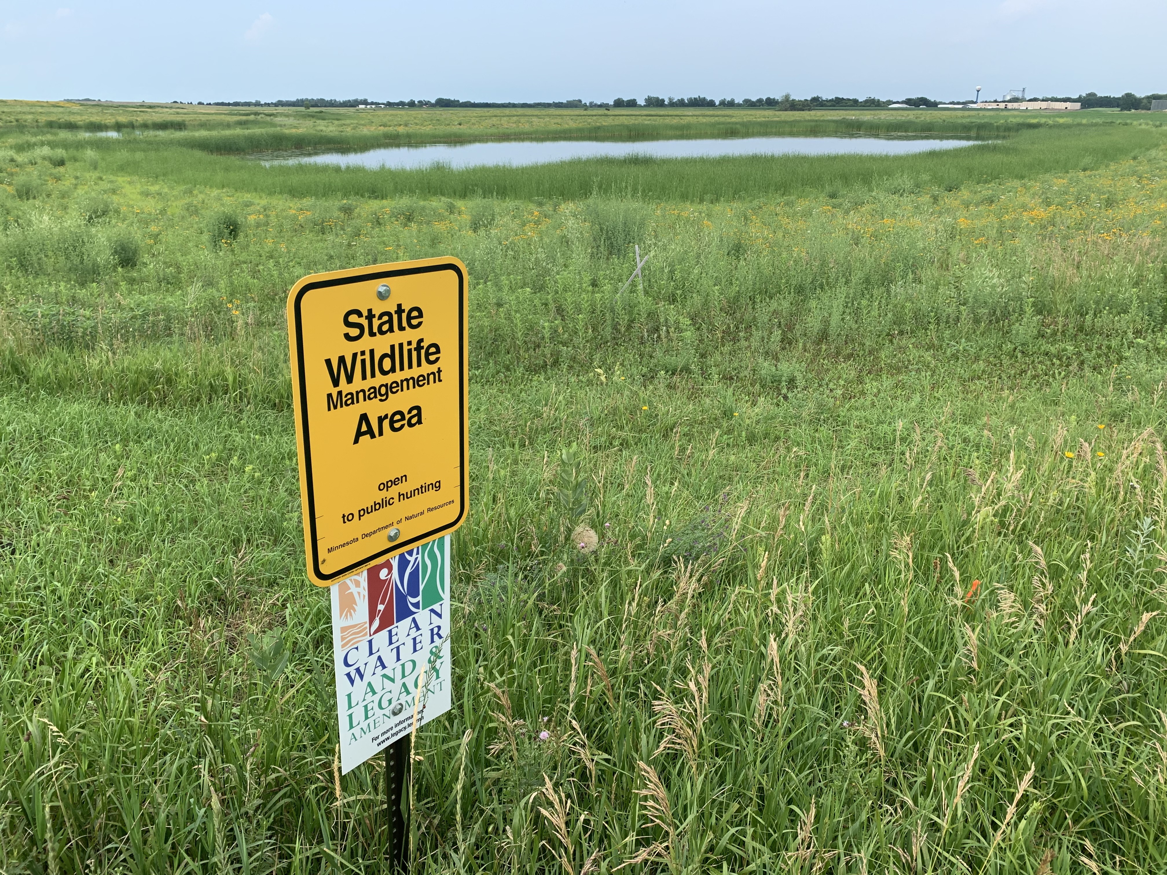 Signage and wetland at Tyler WMA.