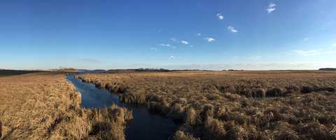 Restoration site at Upper Lightning Lake in Otter Tail County.