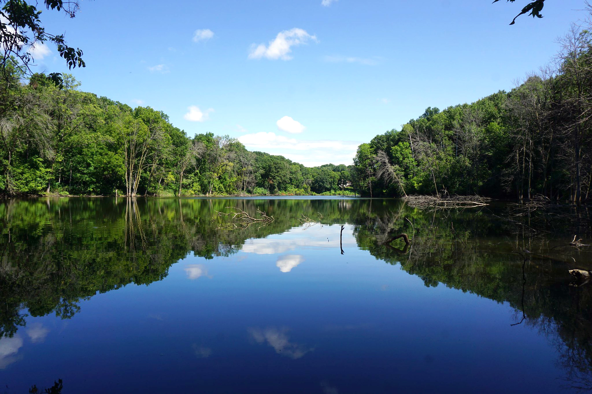 A calm lake surrounded by woodlands at Seidls Lake Park.