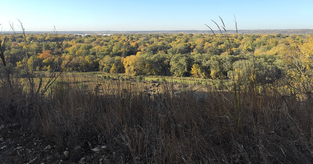 View of surrounding habitat from blufflands at Camels Hump Park.