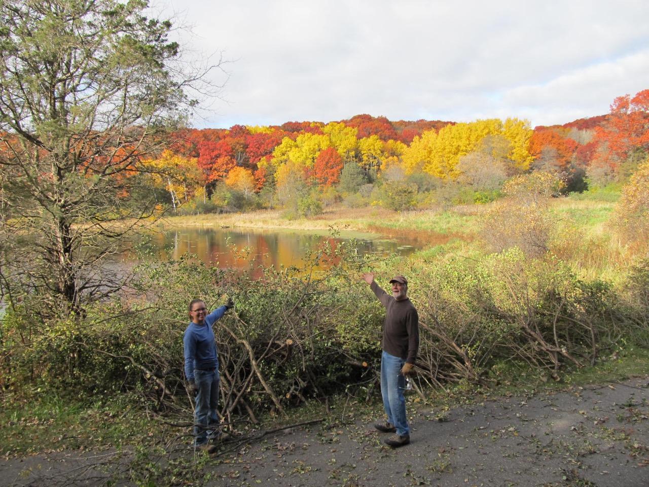 Restoration activity at Cottage Grove Ravine Park.