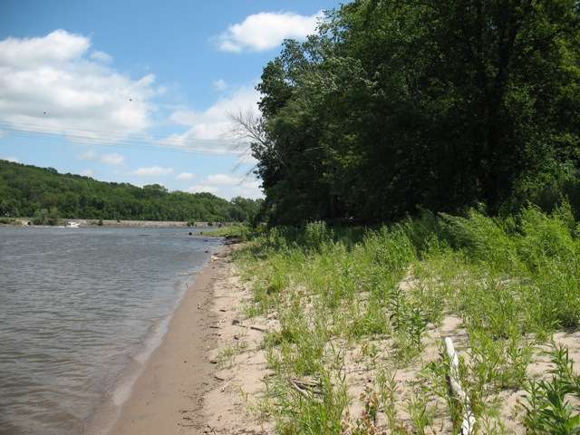 Forested shoreline at Gores Pool WMA.