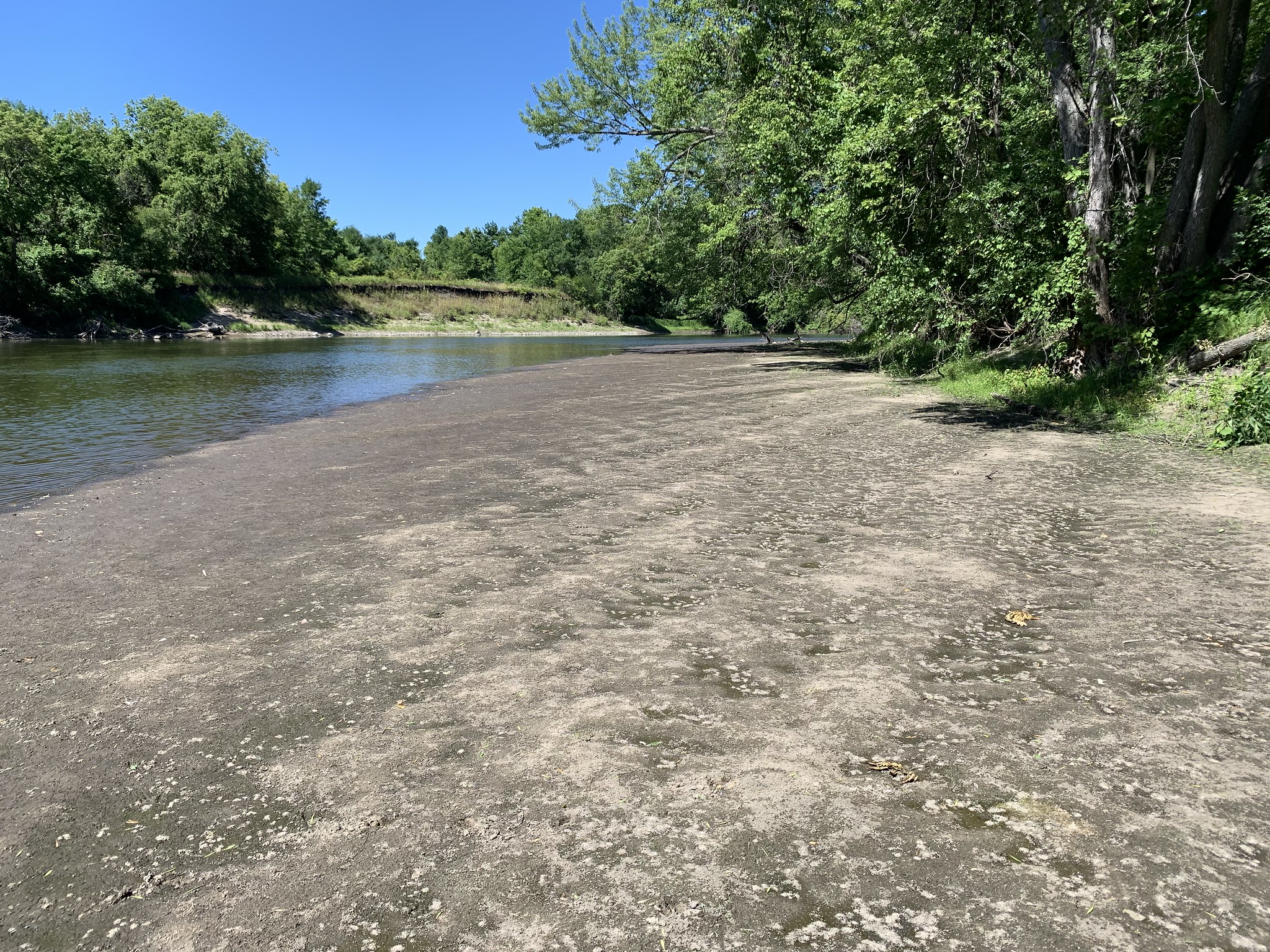A sandy floodplain along the Crow River at Highlands of River Pointe Preserve.