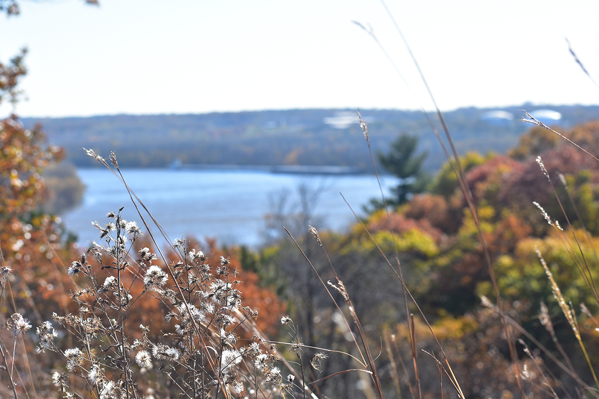 View of Pine Bend Bluffs Natural Area with view of river and hills.