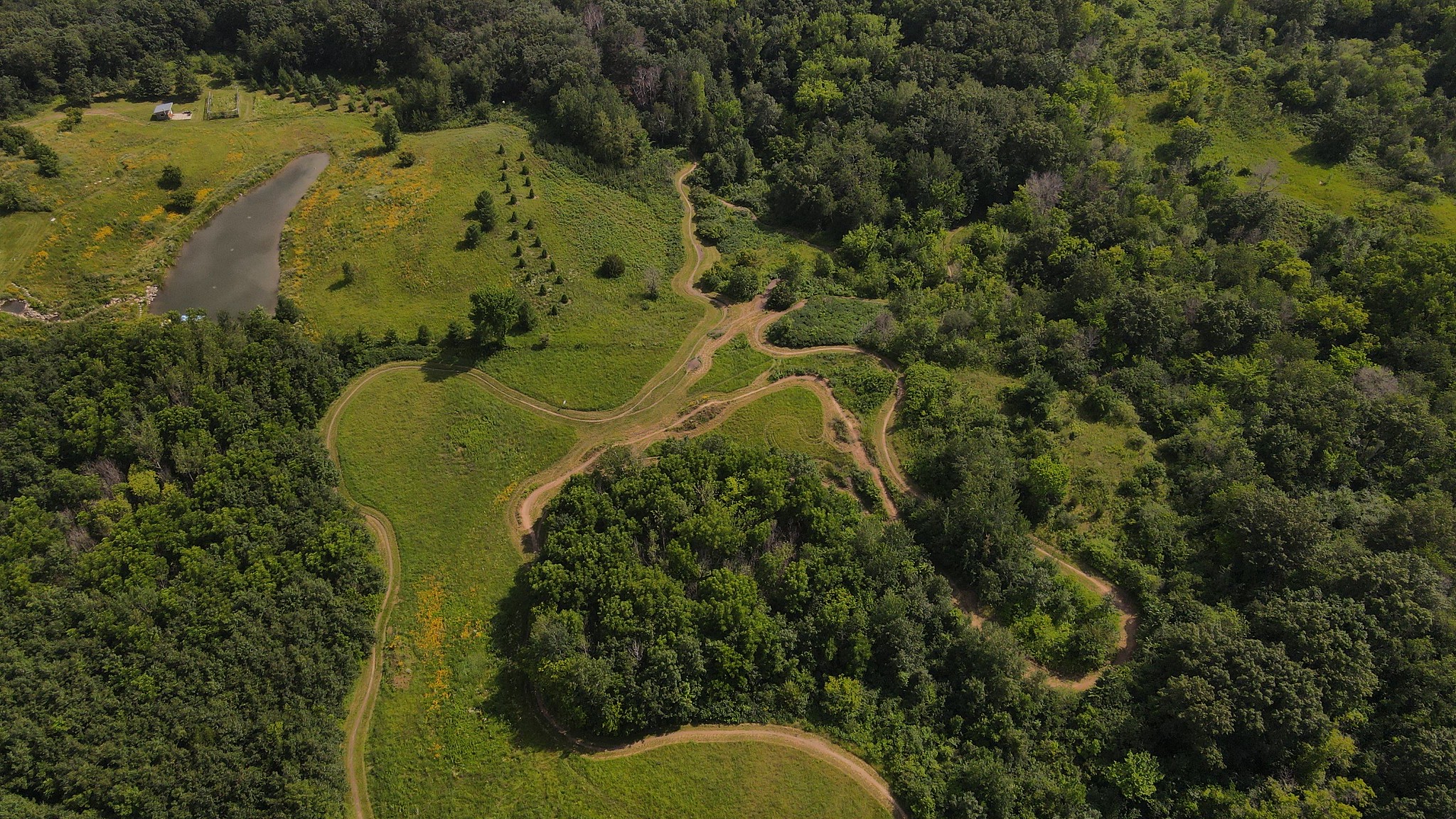 Aerial photo of converted prairie and oak savanna at Harmon Park Preserve.