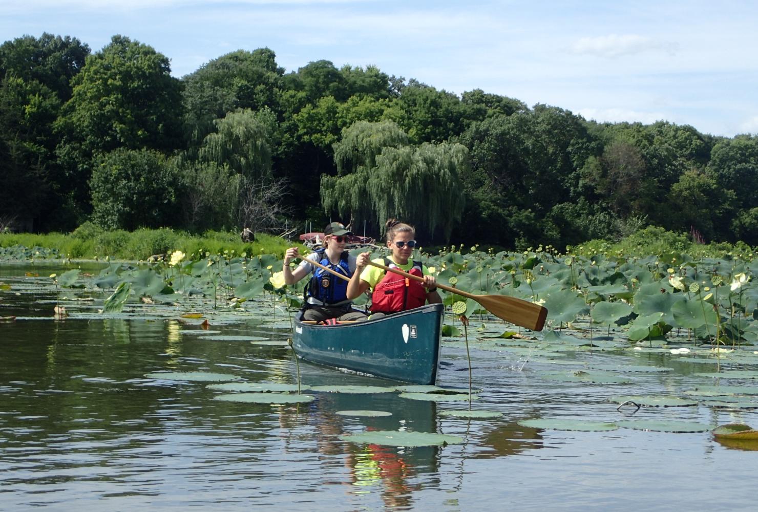 Visitors canoe on the Mississippi River at Settler's Island.
