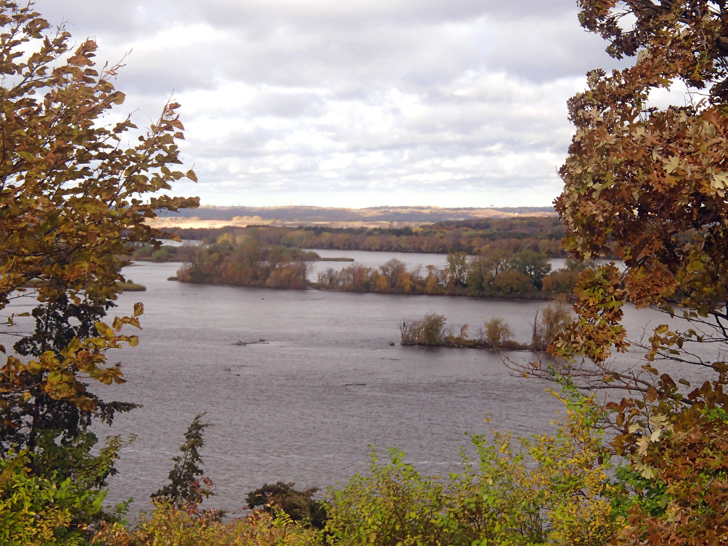 View of the Mississippi River from Schaar's Bluff at Spring Lake Park Reserve.