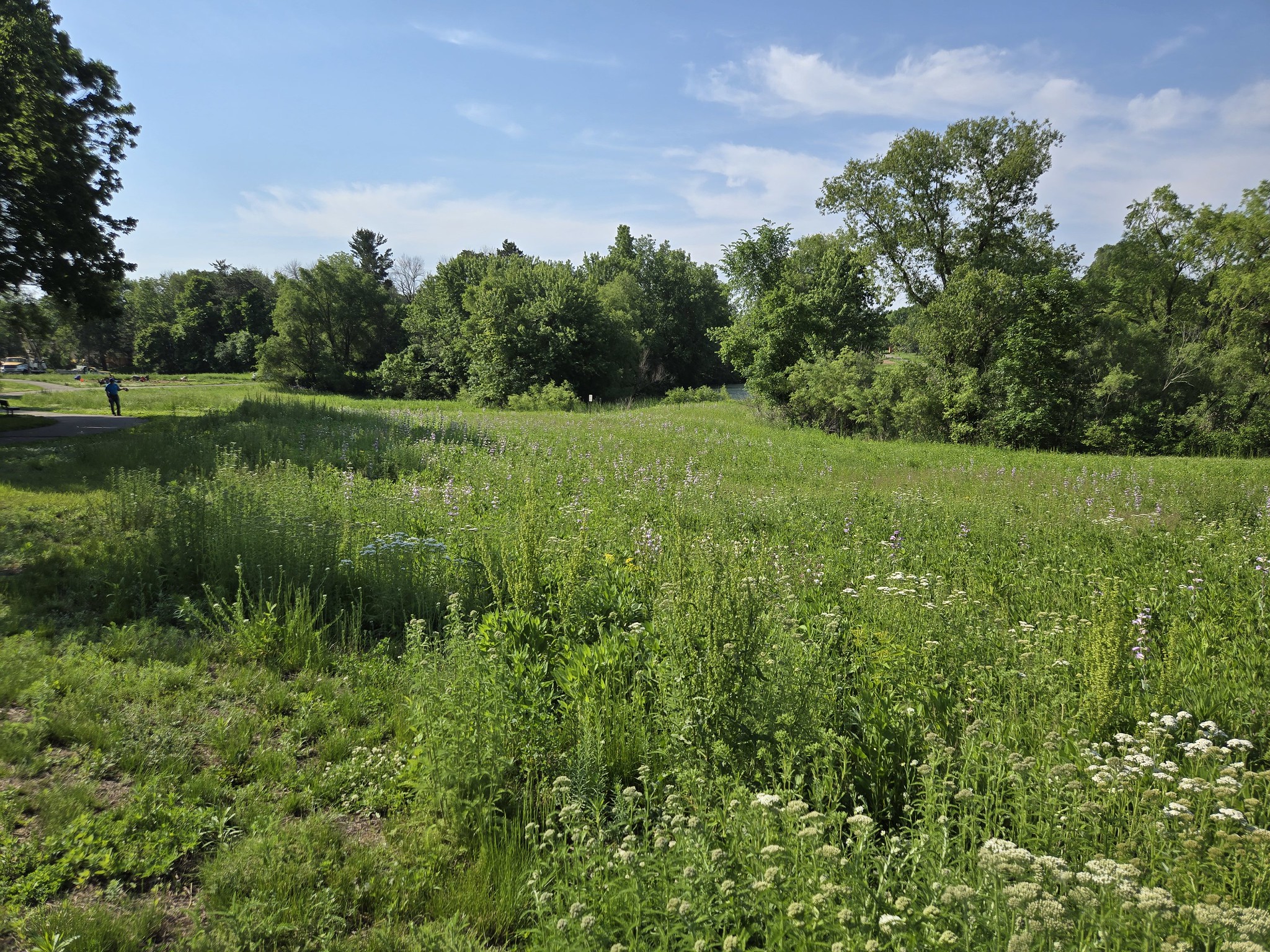 Volunteers enhance habitat at Vermillion River Linear Park.