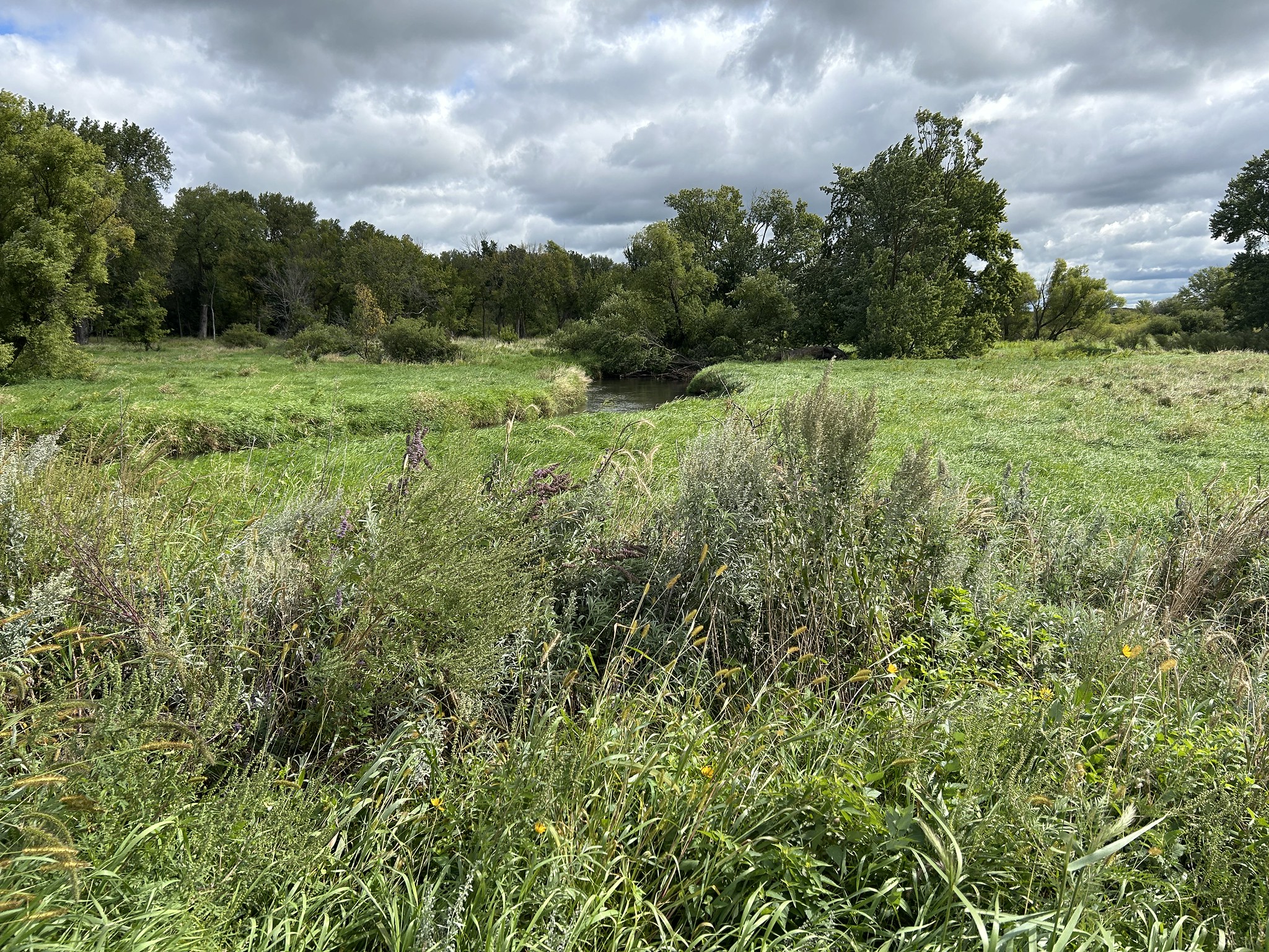 Restored prairie and riparian habitat at the Vermillion River Aquatic Management Area.