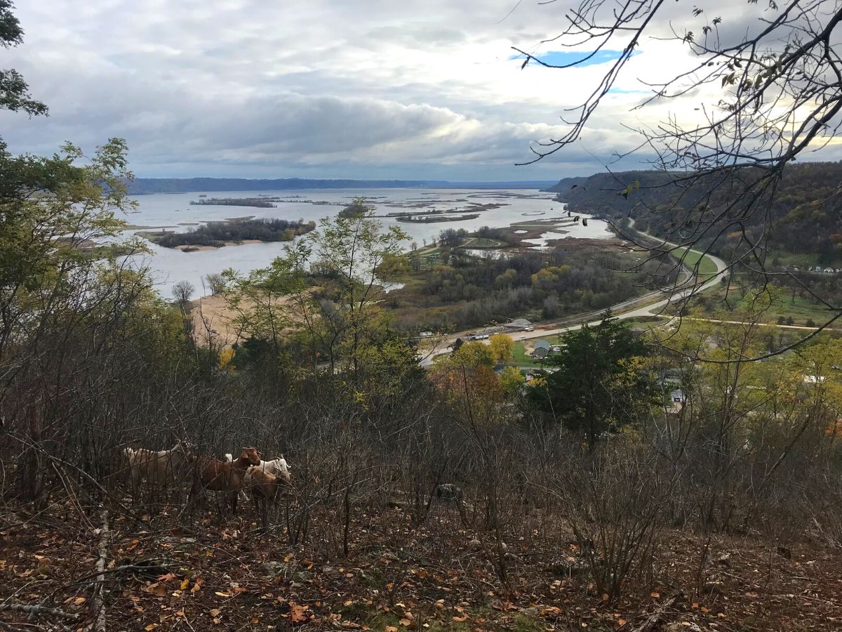 Photo from atop blufflands overlooking Mississippi River.