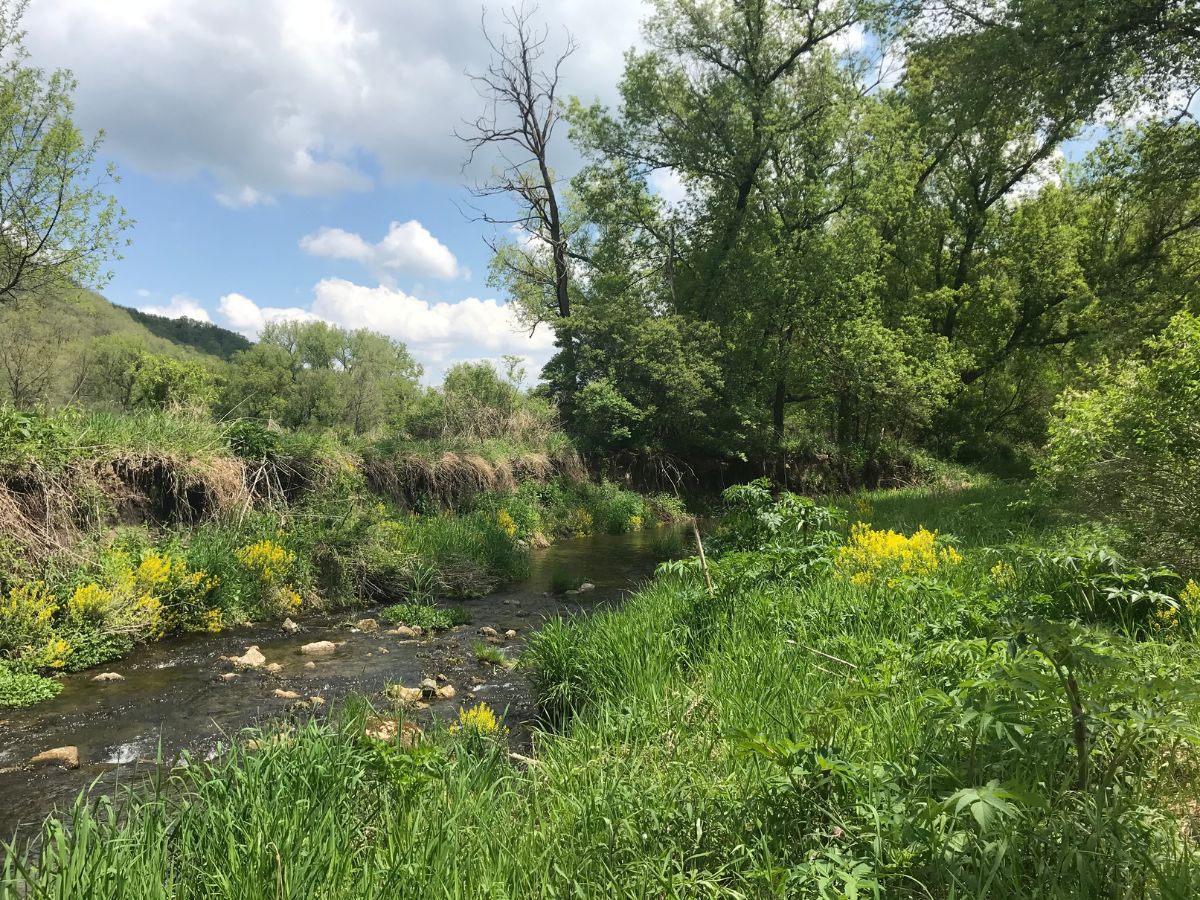 Cedar Creek trout stream with riparian habitat.