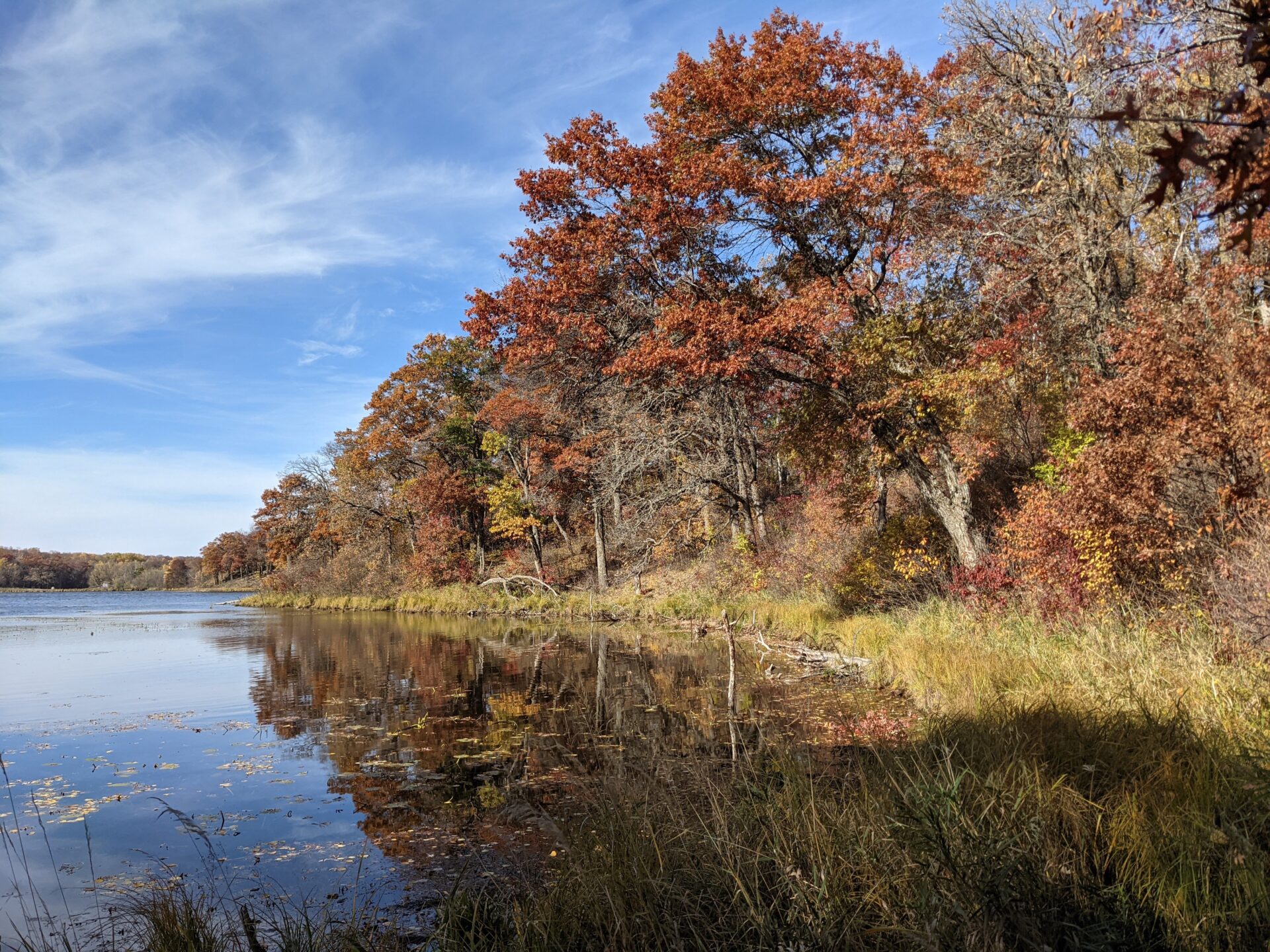 Forested shoreline at the protected Inspiration Point site.