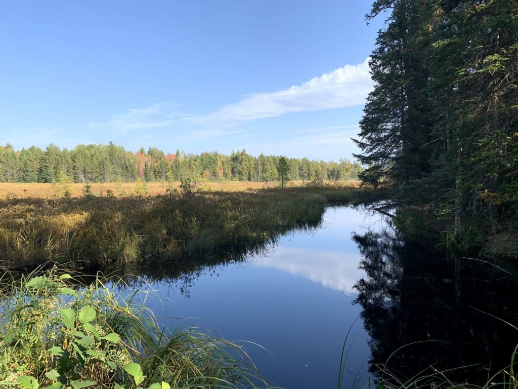 Protected habitat with small lake, trees, and grasslands.