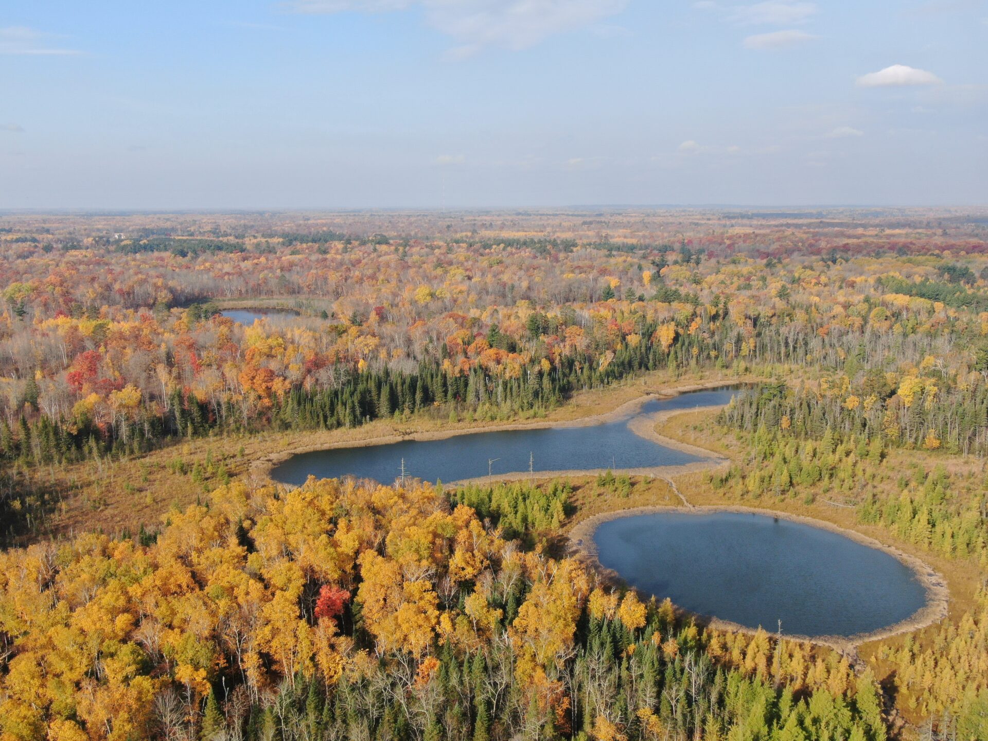 Pancake Lake and surrounding forest habitat.