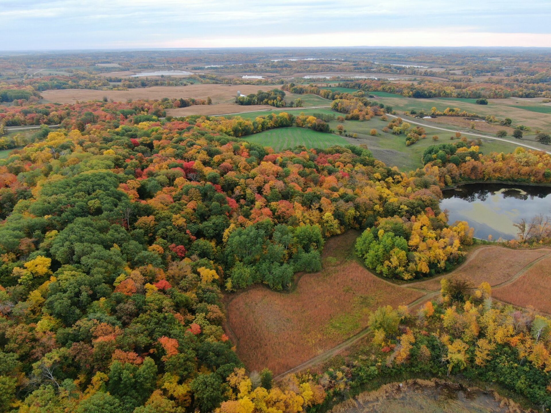 Aerial photo showing many forest and ponds within protected habitat area.