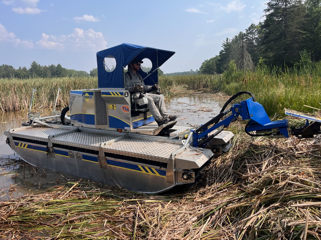 Machine cutting of invasive cattails in a Voyageurs National Park wetland.