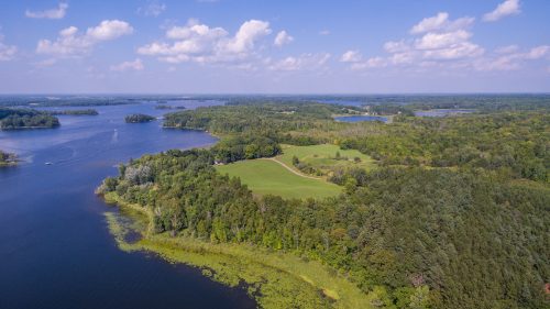 Aerial photo of forested lakeshore habitat at Cedar Lake.