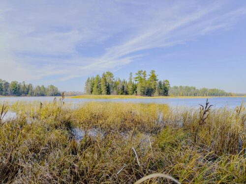 Protected habitat and shoreline at Mantrap Lake.