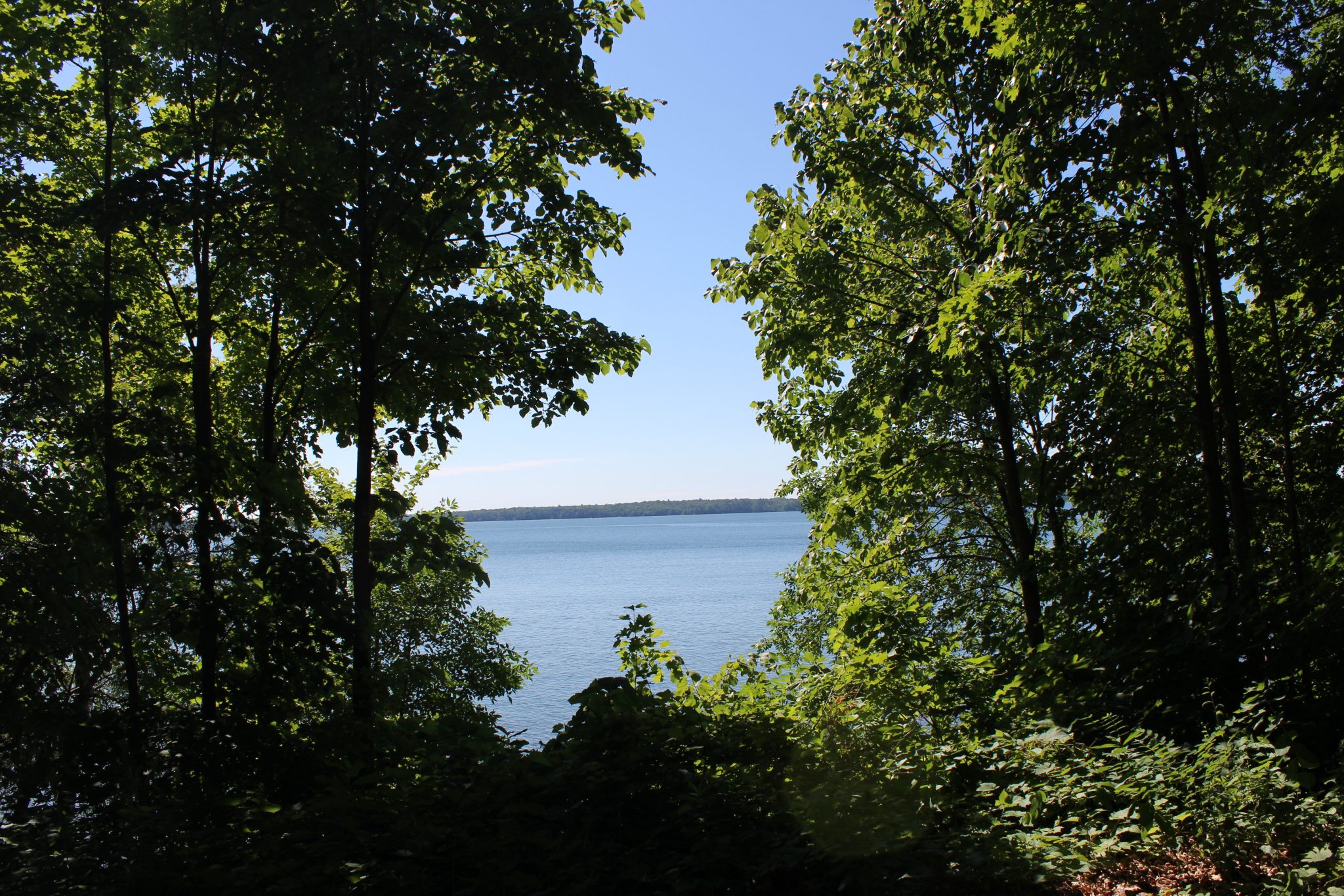 A lake is seen through a clearing in the forest in Northern Minnesota.