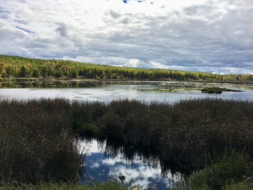 Ten Mile Lake in Cass County, Minnesota.