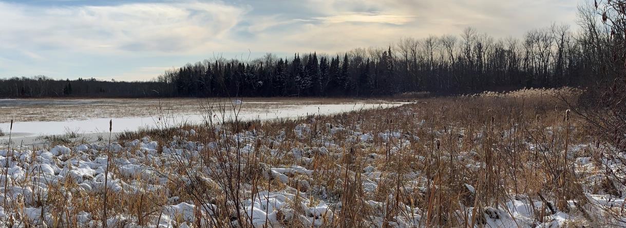Shoreline at protected site of Washburn Lake in winter.