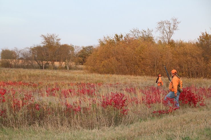 Hunters explore the James Meger Memorial WMA.