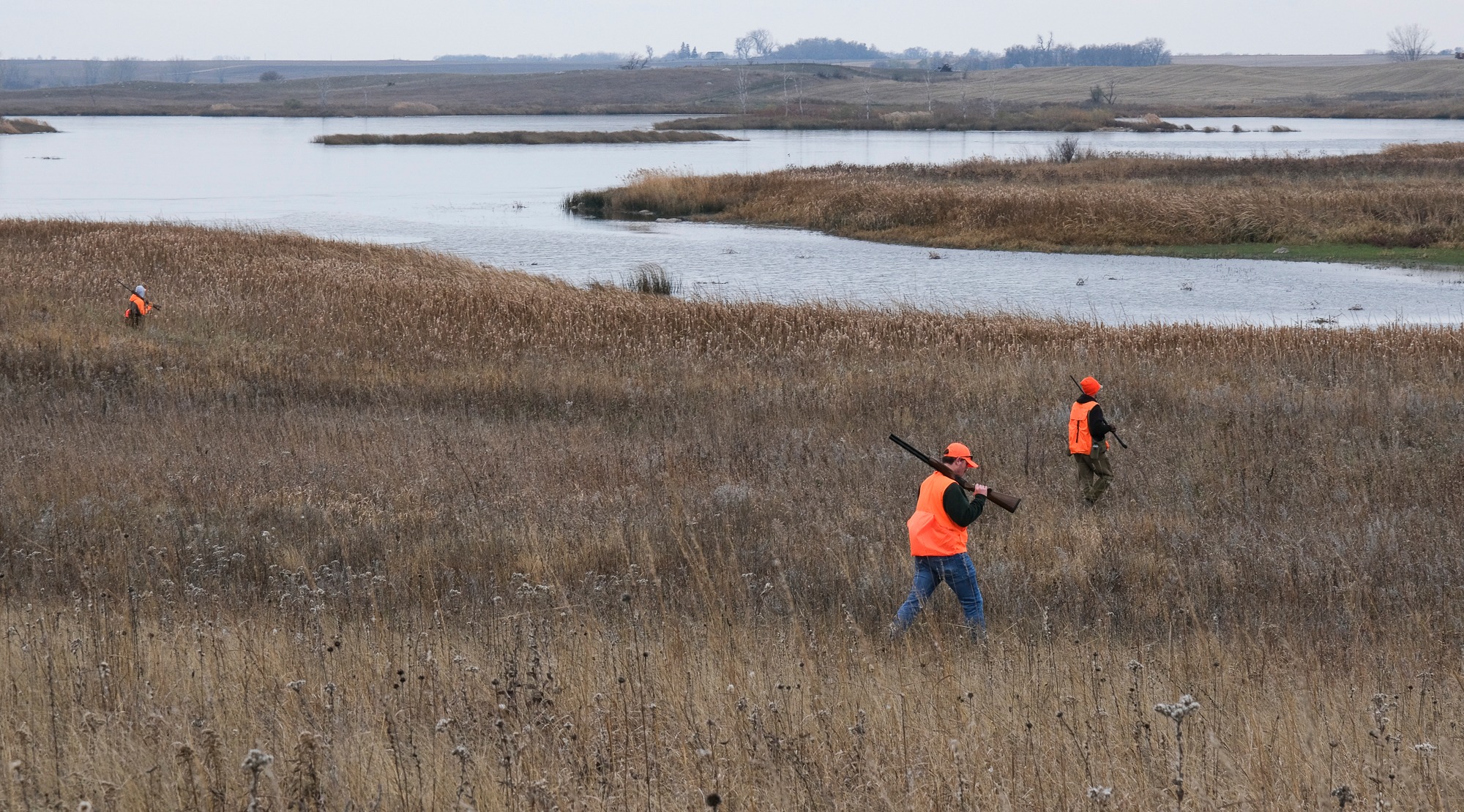 Grassland hunters traverse newly protected prairie pothole habitat at Prairie Marshes WMA.