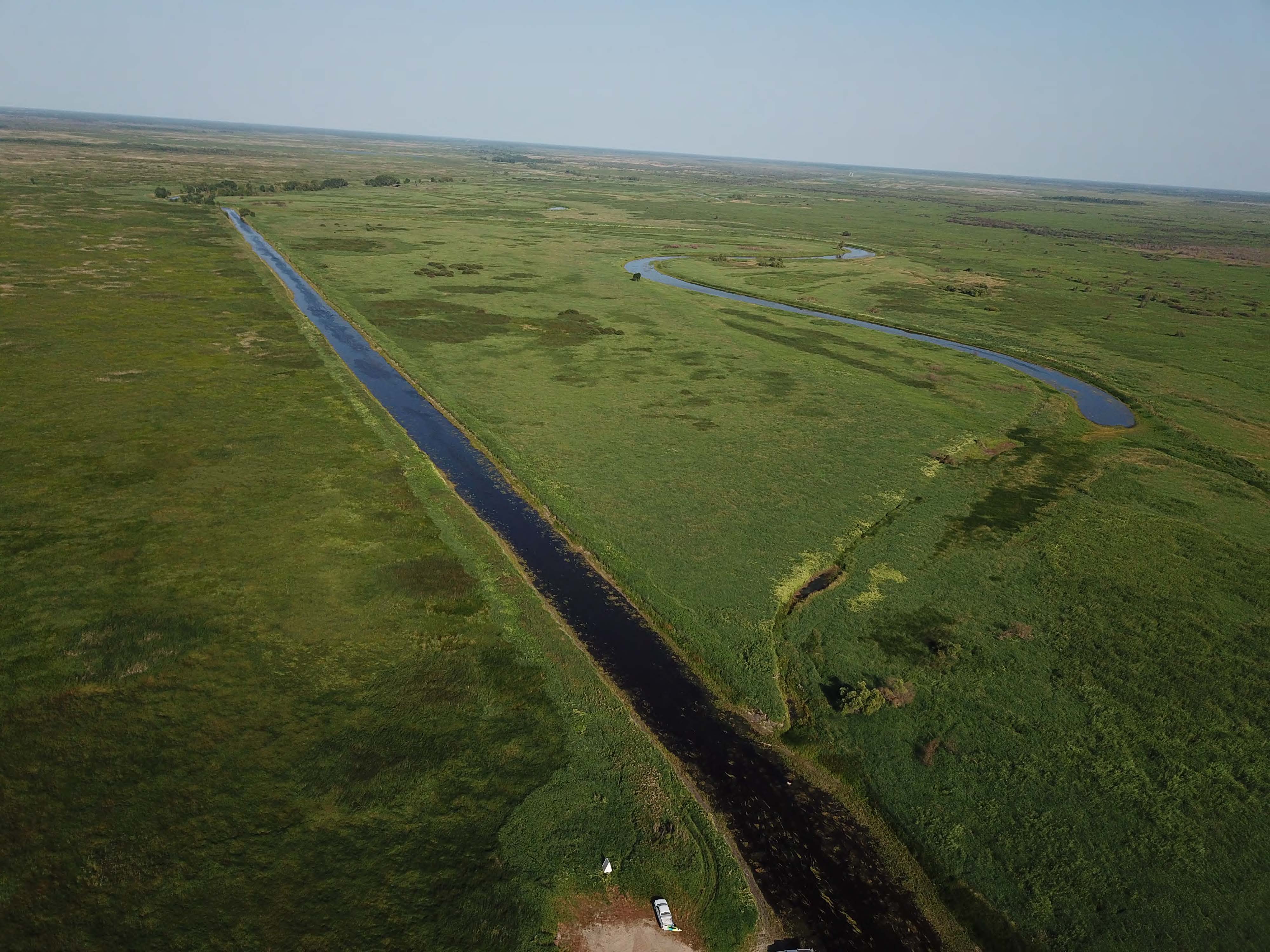 Oxbows at Roseau River restoration site.