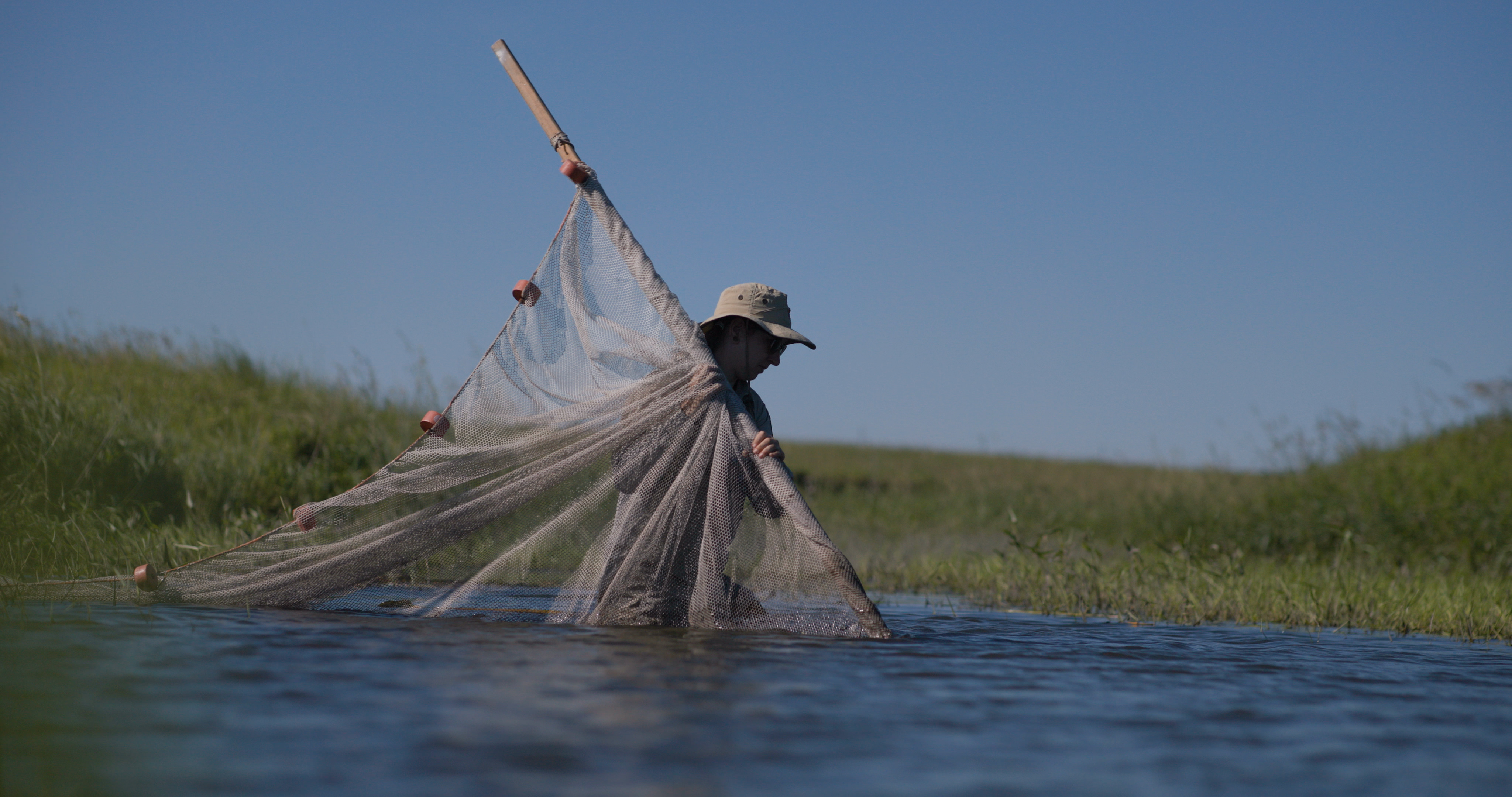 Topeka Shiner habitat restoration.