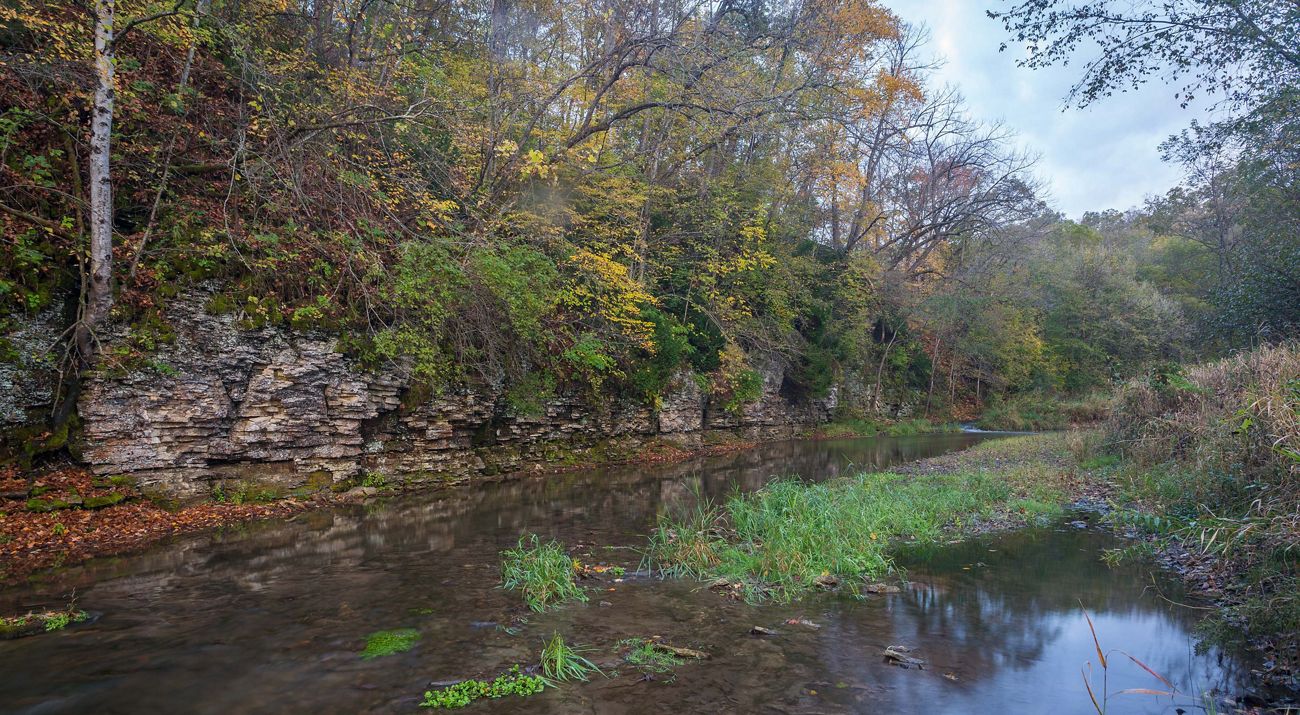 River and bluffs at Seven Springs WMA.