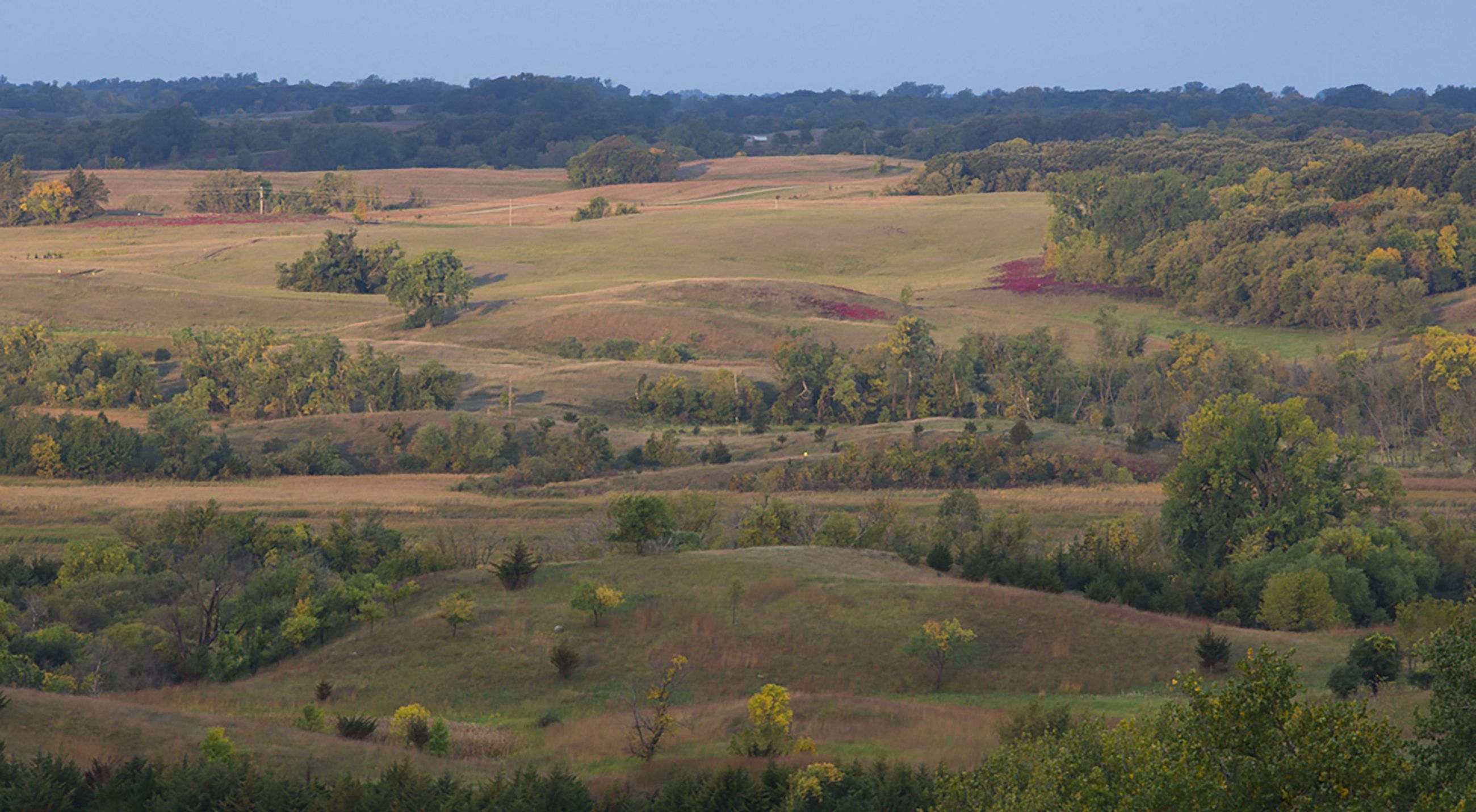 View of Sheepberry Fen with rolling hills, oak savanna, and grassland habitat.
