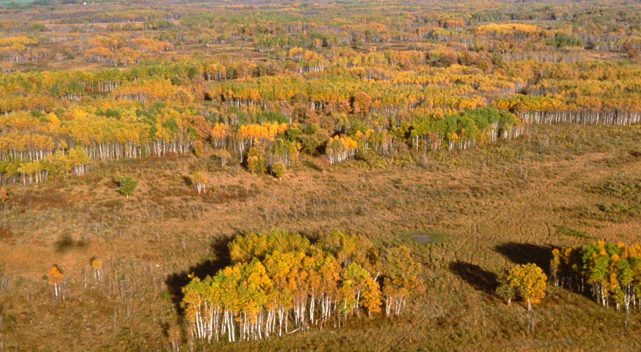 Aerial view of Tallgrass Aspen Parkland.