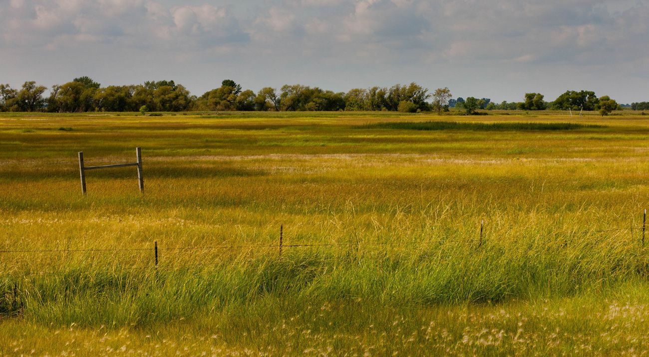 Landscape at Spring Prairie Preserve.