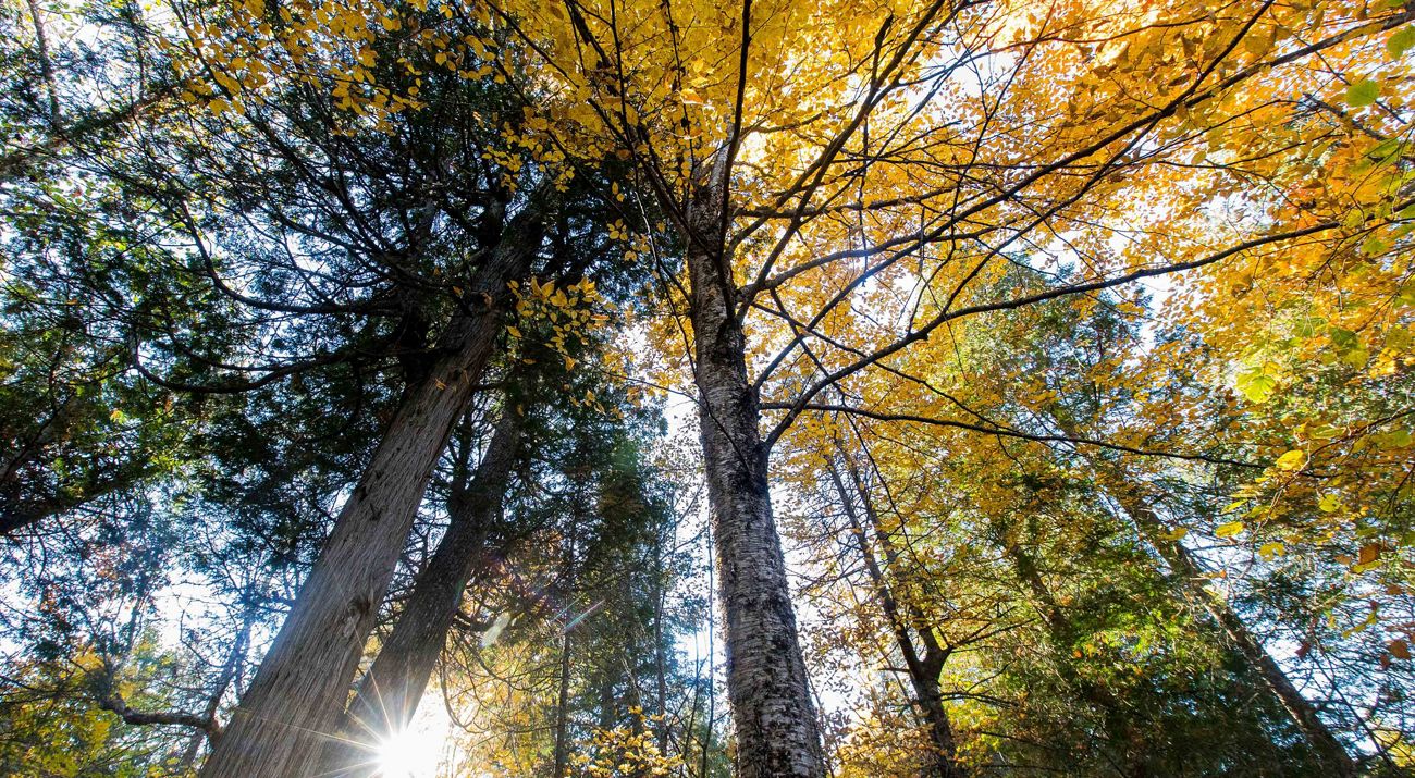 TNC's Upper Manitou Preserve in Minnesota. Land was previously owned by Arctic explorer Will Steeger.