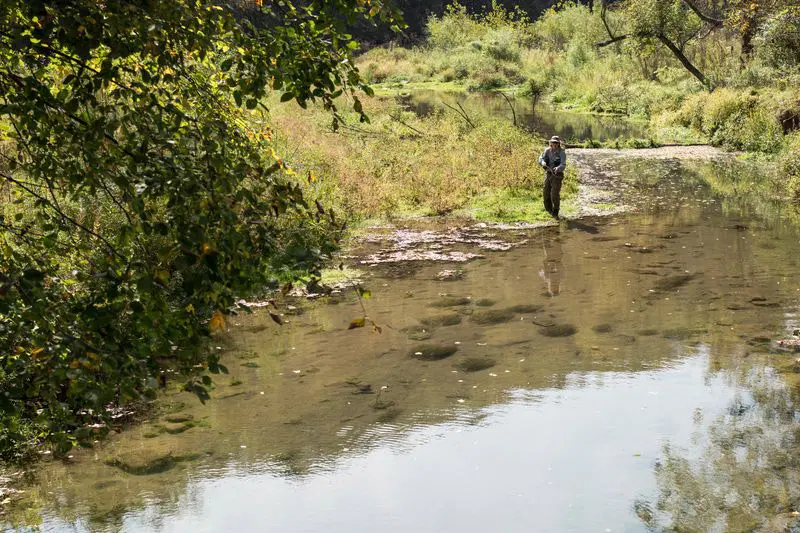Visitor fishes on a trout stream at Choice WMA.