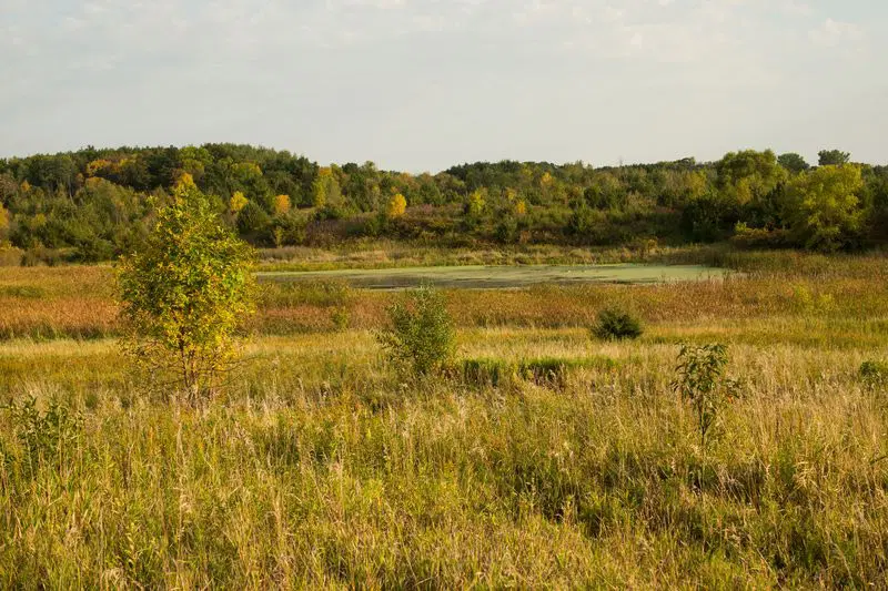 Prairie hillside at Circle Lake WMA.