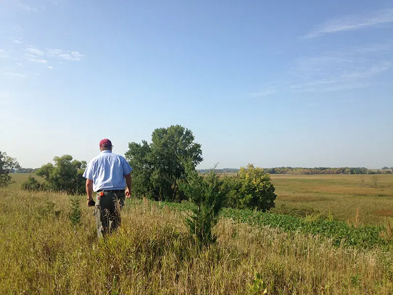 Visitor overlooking hillside and prairie plains at Factor WMA.