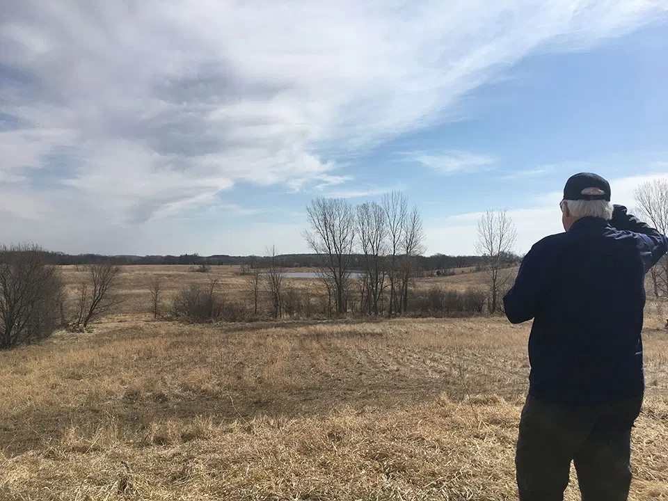 Visitor examines grasslands at Gray Fox WMA.