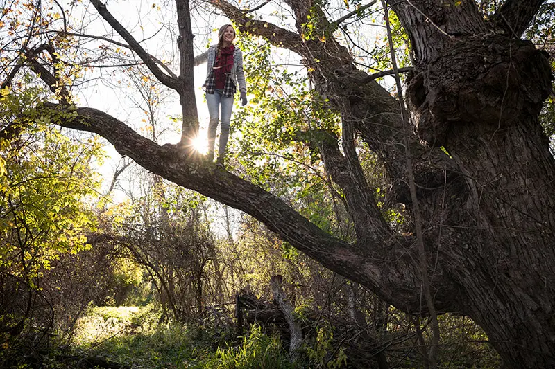 Visitor climbs a tree at William H. Houlton Conservation Area.