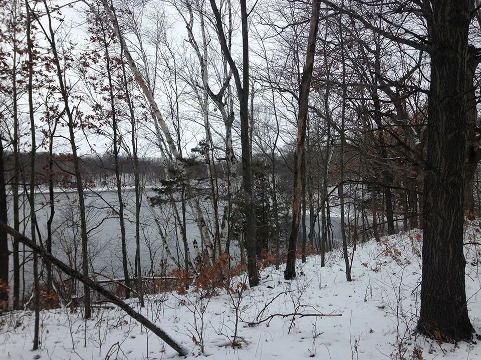 Wooded scene at Long Lake Conservation Area during winter.