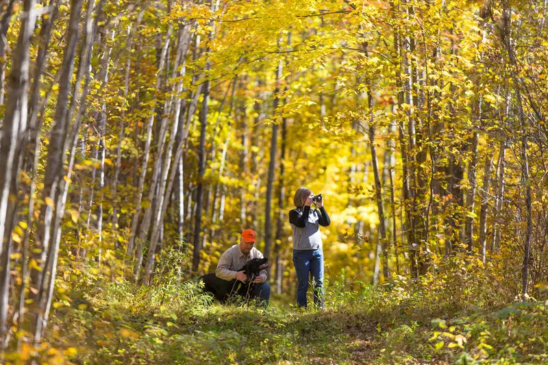 Visitors hike through the Hubbard County Forest.