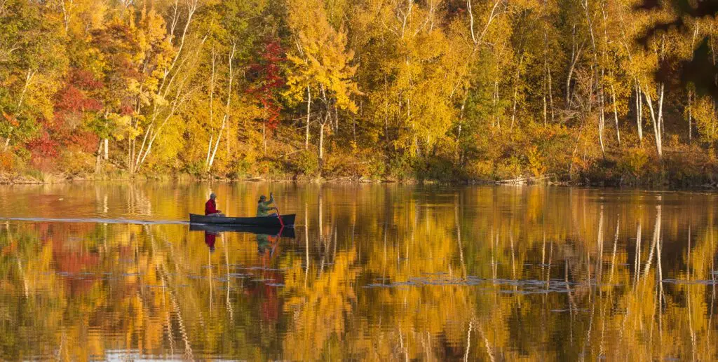 Visitors canoe within the Mississippi River Headwaters area during fall .