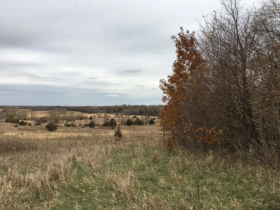 Woods and grassland areas in Murphy WMA.