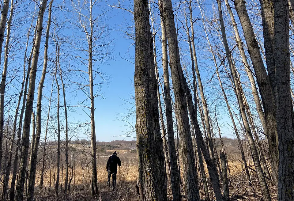Visitor explores woodlands during fall at Shields Lake.